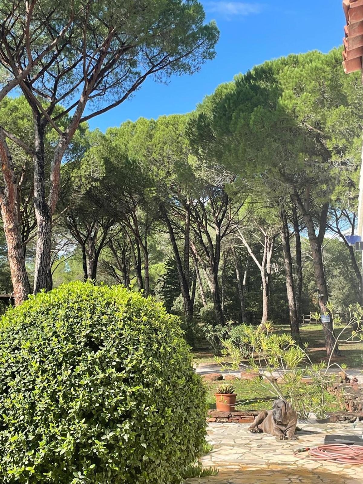 Résidence Gabrielle Le Cannet-des-Maures Extérieur photo