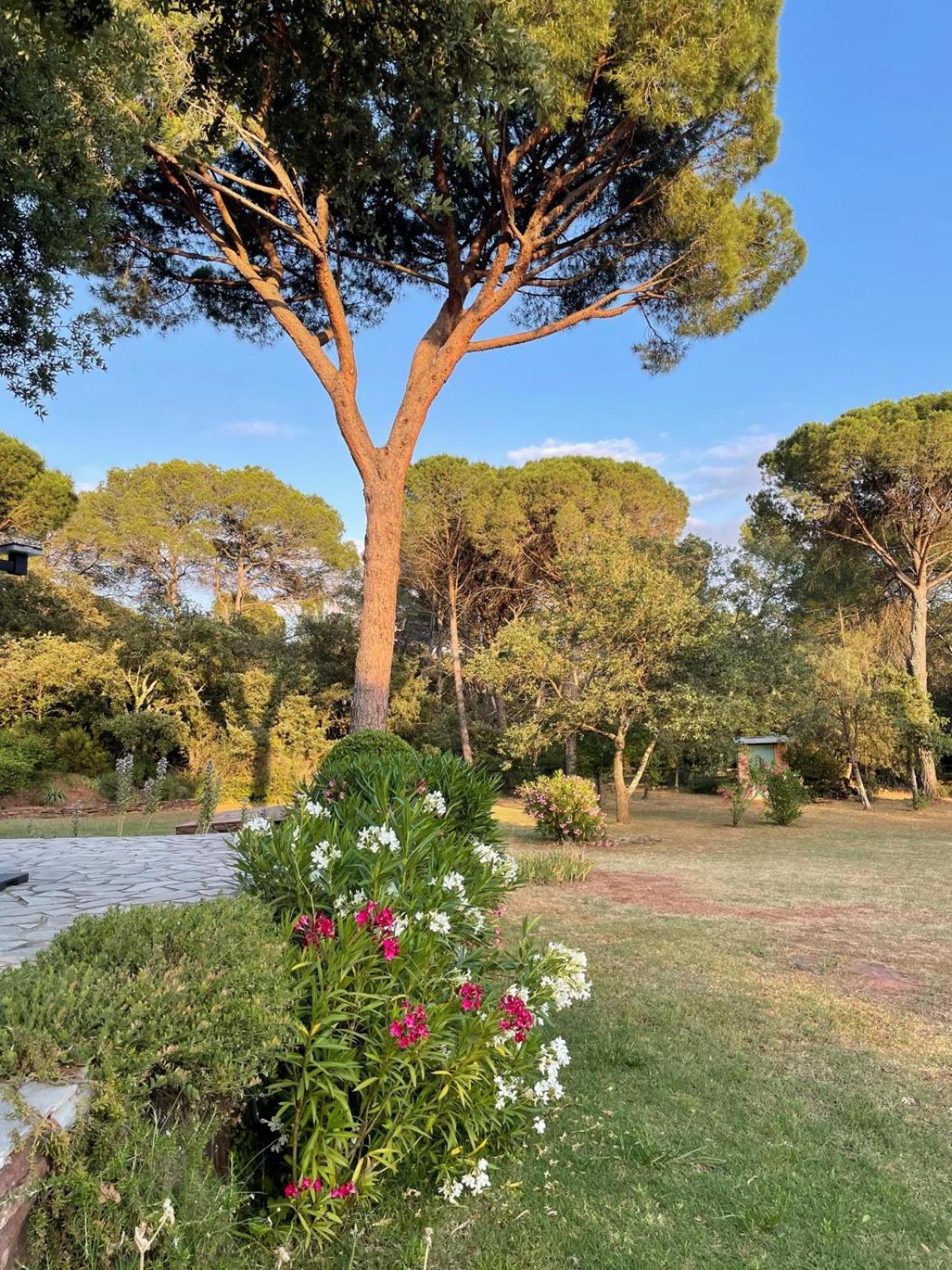 Résidence Gabrielle Le Cannet-des-Maures Extérieur photo